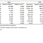 tasit-kilometre-istatistikleri-2023.jpg