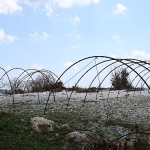 buyuksehir-ekipleri-dolu-yagisinda-magdur-olan-ciftcinin-yaninda.jpg