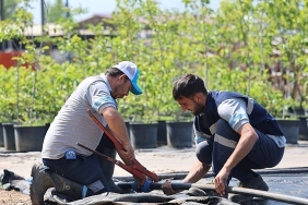 buyuksehirin-fidanligi-kocaelini-yesillendiriyor.jpg