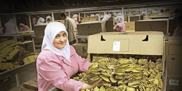 tutun-sektoru-7-yil-sonra-ihracatta-1-milyar-dolar-sinirini-asti.jpg