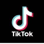 tiktok-arastirmasina-gore-arama-aliskanliklari-degisiyor-kullanicilar-artik-ilham-pesinde.jpg