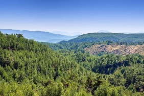 alj-turkiyeden-1-4-milyon-fidan-ile-baslayan-agac-seferberligi.jpg
