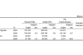 dis-ticaret-istatistikleri-agustos-2025.jpg