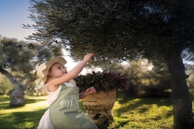 ela-excellence-resort-belekte-zeytin-agaclarinin-golgesinde-unutulmaz-bir-yolculuk.jpg