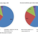kurumsal-sektor-hesaplari-2024.jpg