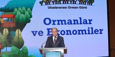 ormanlarin-ekonomik-gucune-dikkat-cekildi.jpg