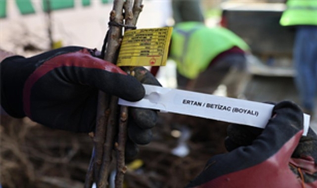 Beydağlı üreticiye çifte destek