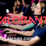 game satış (18)