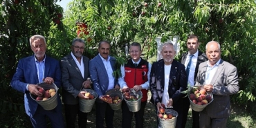 seftali-ve-nektarinde-hasat-zamani.jpg